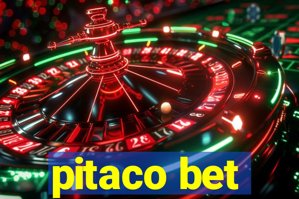 pitaco bet